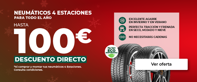 Neumáticos All Season