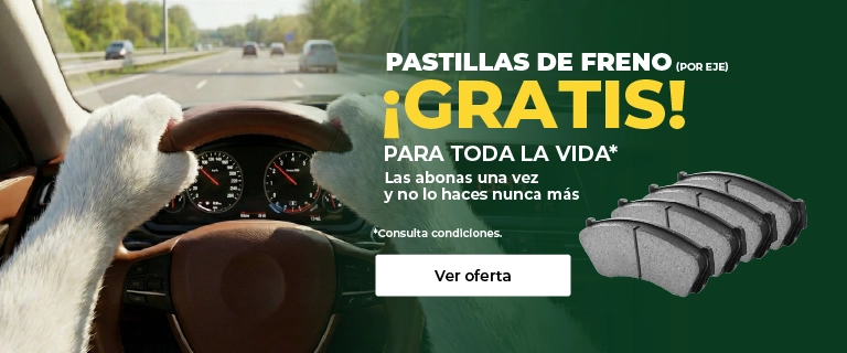 Pastillas Freno